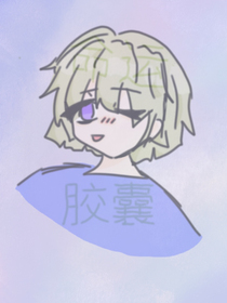 命运——胶囊