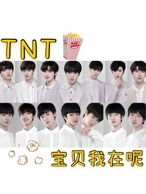 TNT：宝贝我在呢