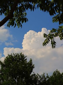 穿越手册：抱紧大佬的大腿
