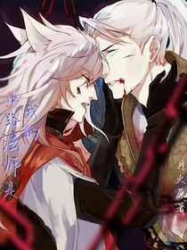 王者荣耀：中路法师是我的