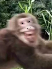 看毛