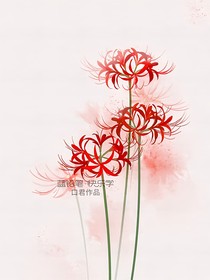 那年花开月正圆——TNT