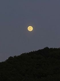 付款初戀日記