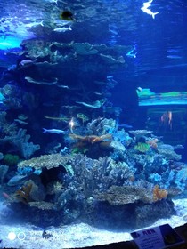 人類永遠也走不出宇宙？消失……