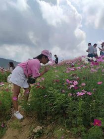 不灵姐呀！