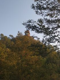 是你们的