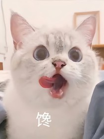 王者荣耀：小乔妹妹又被捉啦！！