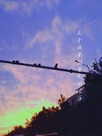 关于我来到重庆的经历