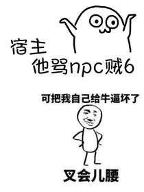 宿主他骂npc贼6