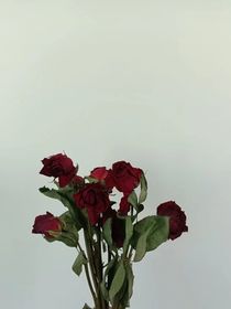 日記番外合集