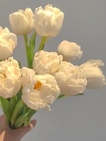 卿卿一世