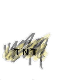 TNT：上学恋爱江记！