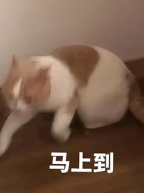 别闹！我的大魔王