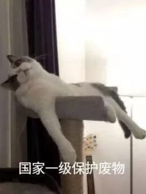 我的生活像部戏