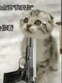 磨刀石系統(tǒng)：我的武魂是手機
