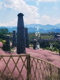 生之而后生的遇见