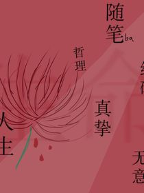 细细碎碎片段随笔