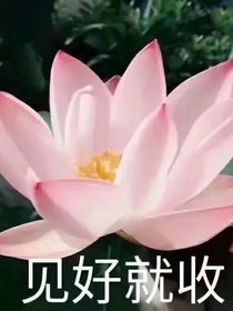 查理九世：殺戮游戲