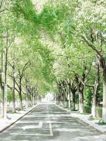 如何正视学习