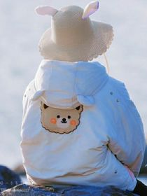 吐槽某些狗