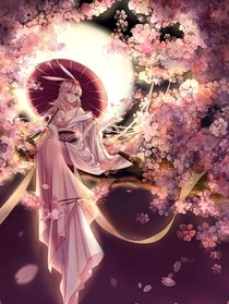 那年櫻花下的旅行