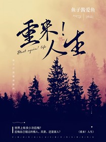落叶纷飞之重来人生