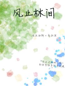 风止林间