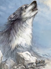 狼王梦之称王称霸