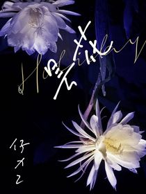 昙花忆现