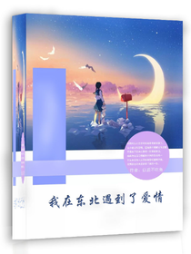 我在东北遇见了爱情
