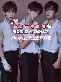 tfboys之海边盛开的花