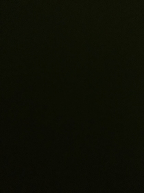 自我介绍——嘤勇无畏