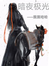 暗夜极光