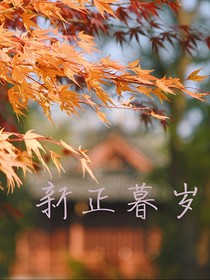 新正慕歲