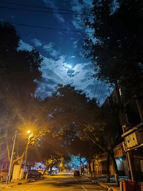 你是我的卡萨布兰卡-d355