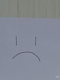 霸道总裁爱上李哈哈