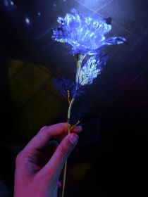 微光——过去？未来？