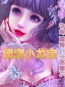 团宠小龙宝