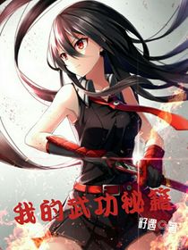 我的武功秘籍