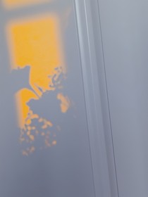葡萄，你很甜