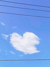 青柠夏天