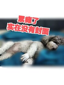 假花语话