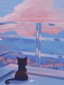 专业发图001