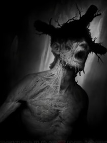 阴暗森林darkwood
