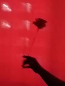 他不是我教官