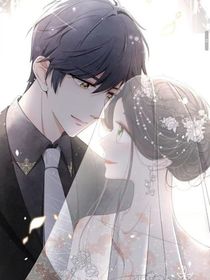 穿成总裁小说女主洛太太