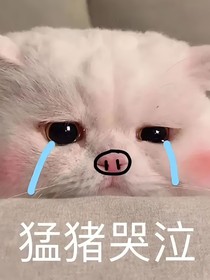 快穿之今天也有在偷偷長(zhǎng)胖