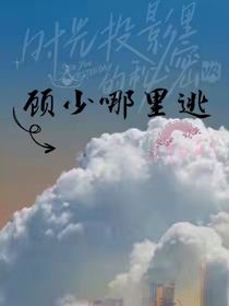顾少哪里逃