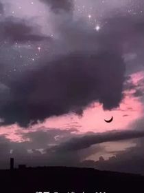 皎皎纤尘