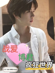 戰(zhàn)愛博君：瘋狂世界